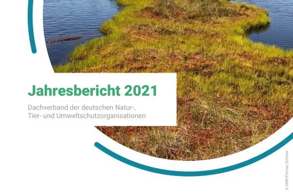DNR-Jahresbericht 2021